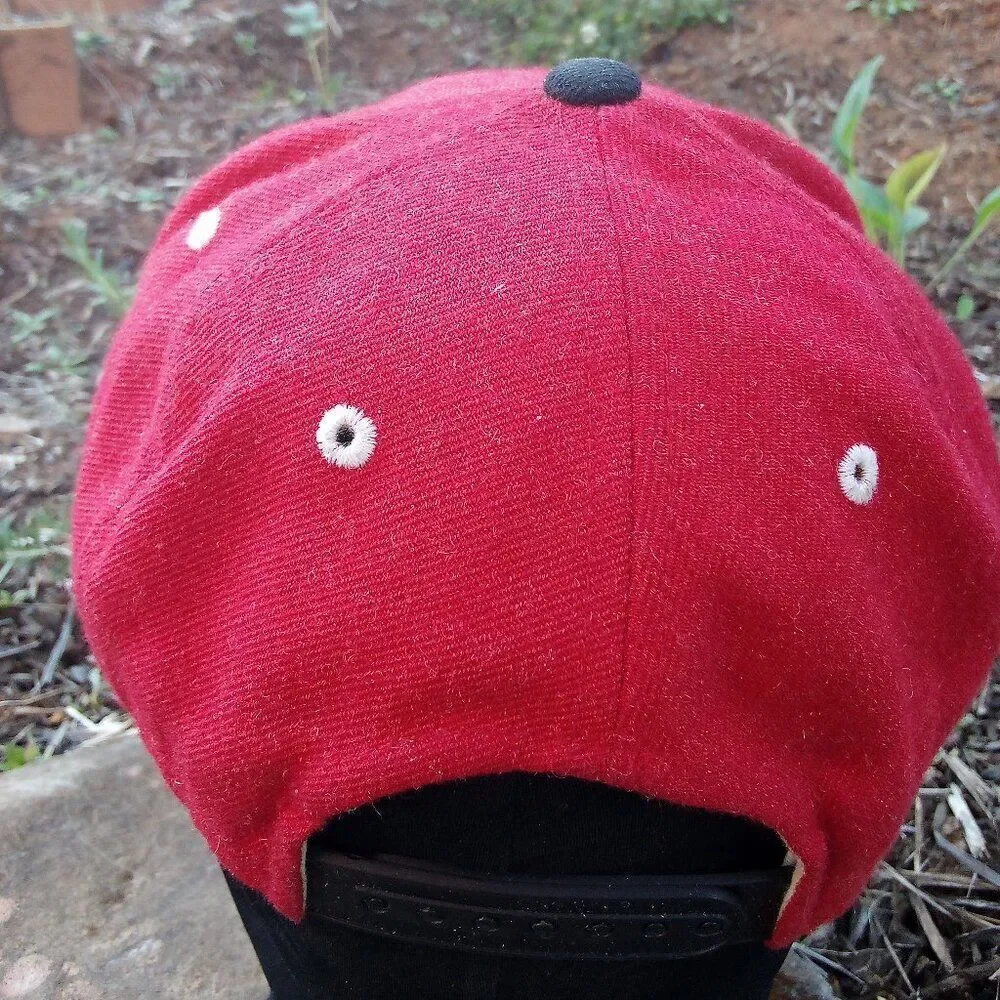 Vintage Y2K Zephyr Ohio State Buckeyes Snap Back Hat Cap
